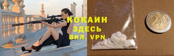 винт Арсеньев
