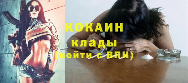 прущие грибы Балабаново