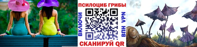 Галлюциногенные грибы Magic Shrooms  кракен ONION  Петушки  магазин  наркотиков 